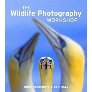 Wildlife Photography Workshop - Ross Hoddinott imagine