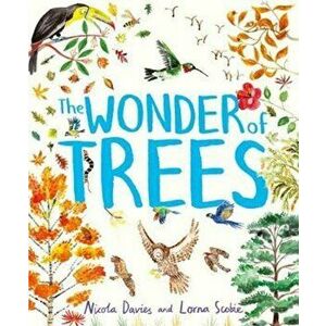 Wonder of Trees - Nicola Davies imagine