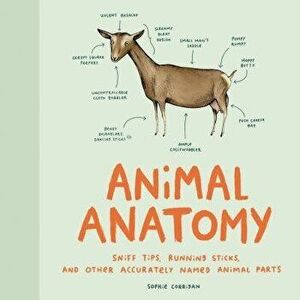 Animal Anatomy (Funny Animal Books, Funny Anatomy Books, Humor Books for Adults), Hardcover - Sophie Corrigan imagine
