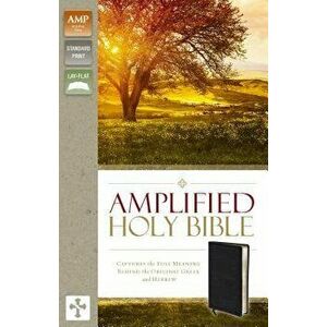 Amplified Bible-Am: Captures the Full Meaning Behind the Original Greek and Hebrew - Zondervan imagine