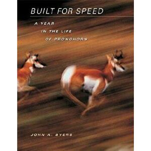 Built for Speed: A Year in the Life of Pronghorn, Hardcover - John A. Byers imagine