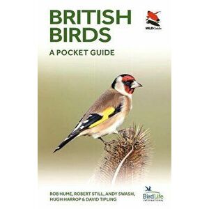 British Birds: A Pocket Guide, Paperback - Rob Hume imagine