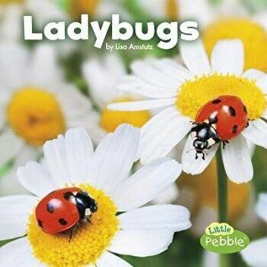 Ladybugs, Paperback - Lisa J. Amstutz imagine