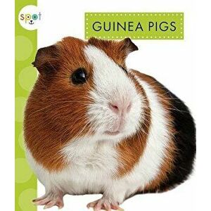Guinea Pigs, Paperback - Mari C. Schuh imagine