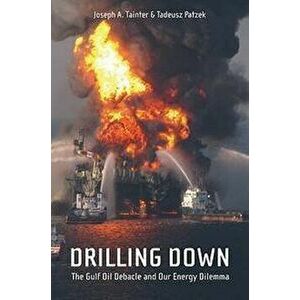 Drilling Down: The Gulf Oil Debacle and Our Energy Dilemma, Paperback - Joseph A. Tainter imagine