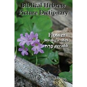 Biblical Hebrew Picture Dictionary, Paperback - Jeff A. Benner imagine