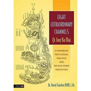 Eight Extraordinary Channels: Qi Jing Ba Mai: A Handbook for Clinical Practice and Nei Dan Inner Meditation, Paperback - David Twicken imagine