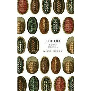 Chiton & Other Creatures, Paperback - Nicholas Neely imagine