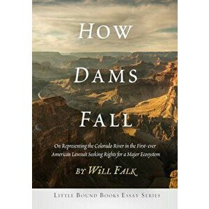 How Dams Fall, Paperback - Will Falk imagine
