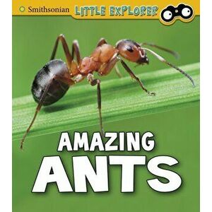 Amazing Ants, Paperback - Megan Cooley Peterson imagine