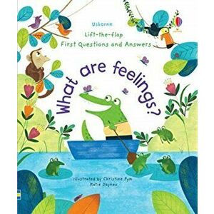 What are Feelings?, Board book - Katie Daynes imagine