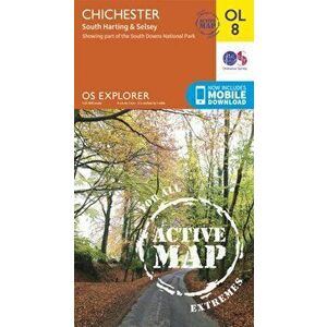Chichester, South Harting & Selsey, Sheet Map - *** imagine