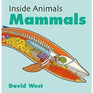 Inside Animals: Mammals, Hardback - David West imagine
