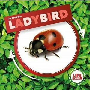 Ladybird, Hardback - Kirsty Holmes imagine