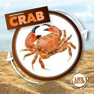 Crab, Hardback - Kirsty Holmes imagine