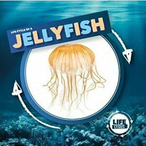 Jellyfish, Hardback - Kirsty Holmes imagine