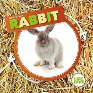 Rabbit, Hardback - Kirsty Holmes imagine