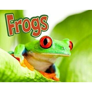 Frogs, Hardback - Kelly Gaffney imagine