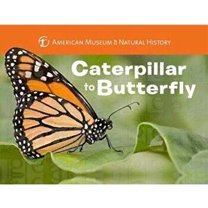 Caterpillar to Butterfly, Hardcover - American Museum of Natural History imagine
