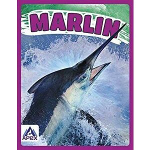 Giants of the Sea: Marlin, Hardback - Katie Chanez imagine