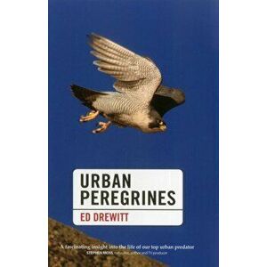 Urban Peregrines, Hardback - Ed Drewitt imagine