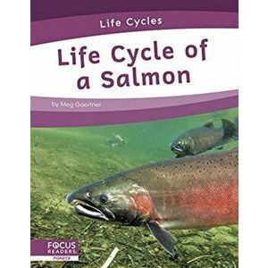 Life Cycles: Life Cycle of a Salmon, Hardback - Meg Gaertner imagine