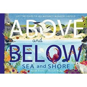 Above and Below: Sea and Shore. Lift the flaps to see nature's wonders unfold, Hardback - Hannah Bailey imagine