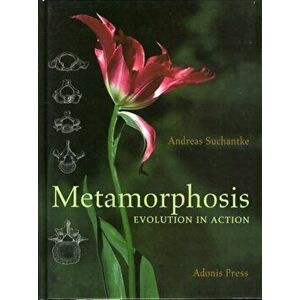 Metamorphosis. Evolution in Action, Hardback - Andreas Suchantke imagine