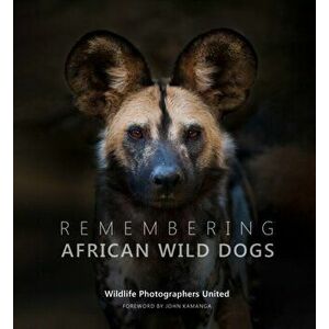 Remembering African Wild Dogs, Hardback - *** imagine