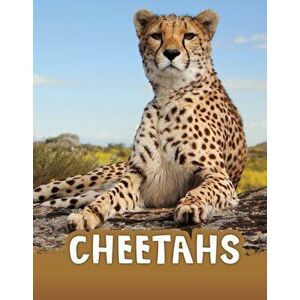 Cheetahs, Hardback - Jaclyn Jaycox imagine