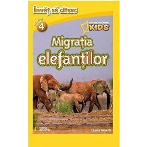 Migratia elefantilor - *** imagine