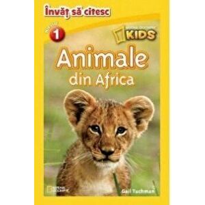 Animale din Africa - *** imagine
