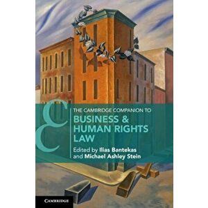 The Cambridge Companion to Business and Human Rights Law. New ed, Paperback - *** imagine