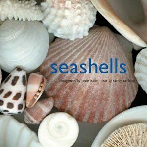 Seashells, Hardcover - Josie Iselin imagine