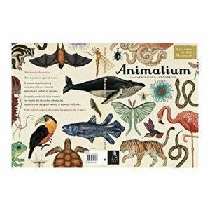 Animalium, Hardcover - *** imagine