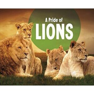 Pride of Lions, Paperback - Amy Kortuem imagine