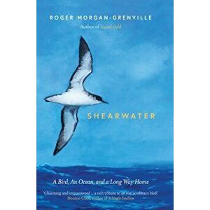 Shearwater. A Bird, an Ocean, and a Long Way Home, Hardback - Roger Morgan-Grenville imagine