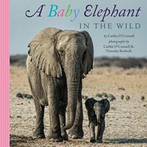 A Baby Elephant in the Wild, Hardcover - Caitlin OConnell imagine
