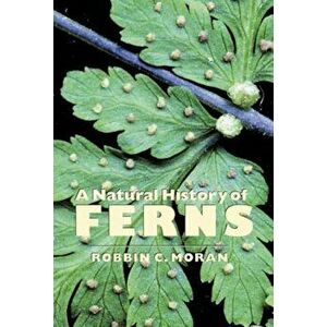 A Natural History of Ferns, Paperback - Robbin C. Moran imagine