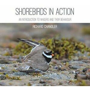 Shorebirds in Action, Paperback - Richard Chandler imagine