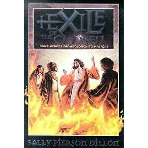 Exile of the Chosen: God's Heroes from Solomon to Malachi, Paperback - Sally Pierson Dillon imagine
