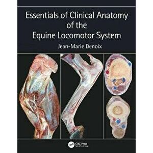 Essentials of Clinical Anatomy of the Equine Locomotor System, Hardcover - Jean-Marie Denoix imagine