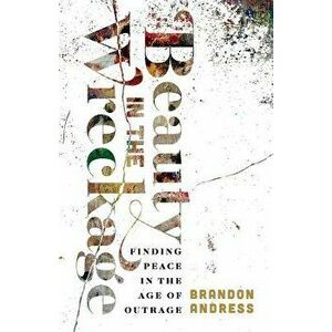 Beauty in the Wreckage: Finding Peace in the Age of Outrage, Paperback - Brandon Andress imagine