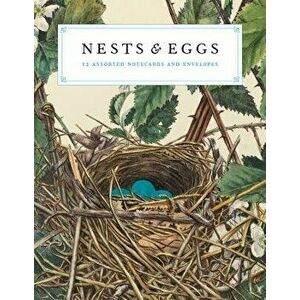 Nests and Eggs Notecards - Joy M. Kiser imagine