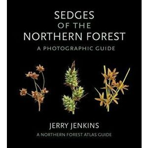 Sedges of the Northern Forest: A Photographic Guide, Paperback - Jerry Jenkins imagine