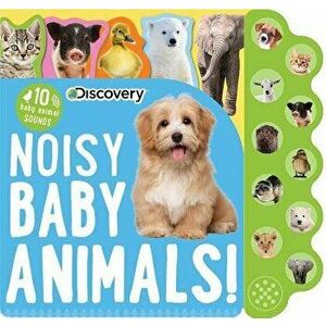 Discovery: Noisy Baby Animals! - Editors of Silver Dolphin Books imagine