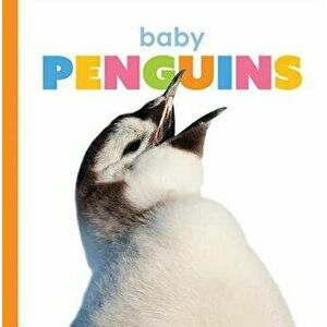 Baby Penguins, Paperback - Kate Riggs imagine