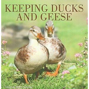 Keeping Geese imagine
