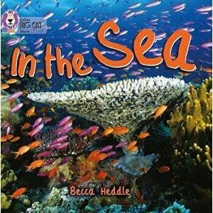 In the Sea - Rebecca Heddle imagine