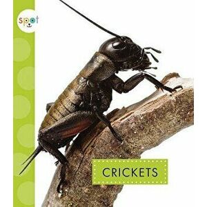 Crickets, Paperback - Nessa Black imagine